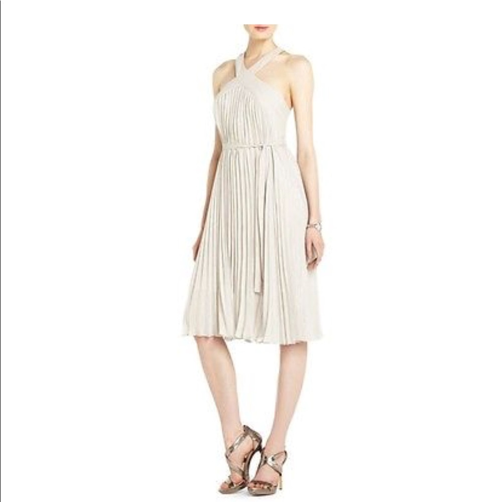 BCBGMAXAZRIA Light Stone Eloise Pleated Dress